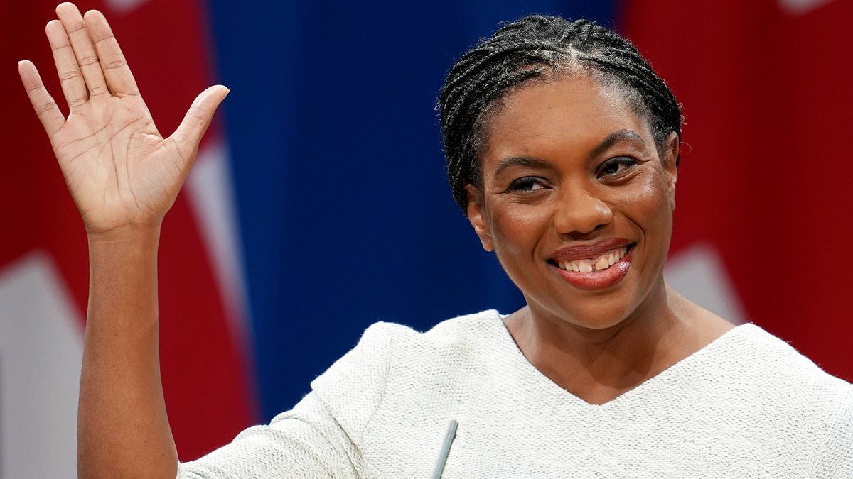 Tory pair group launches to attract seven million 'politically homeless' centre-ground voters