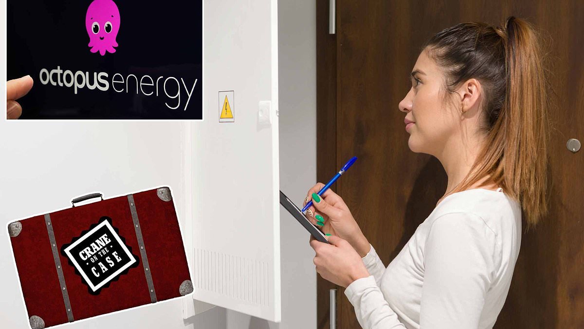 Octopus is forcing me to have a smart meter but won't put it on 'dumb' mode: CRANE ON THE CASE