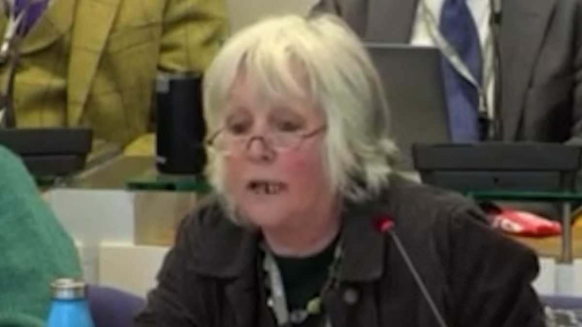 Asylum seekers to get Valentine's Day cards made by children - which will be delivered by a Green Party councillor and her grandchildren