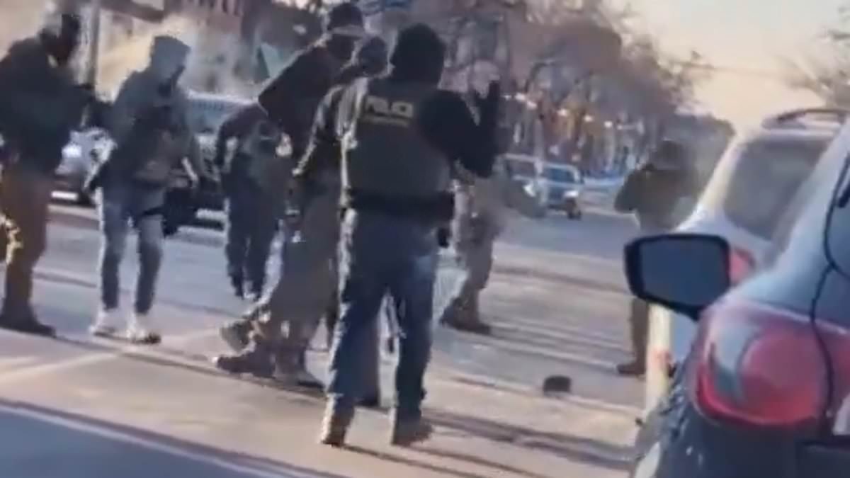 Disturbing moment DHS officer appears to CLAP as Minneapolis protester Alex Jeffrey Pretti was killed