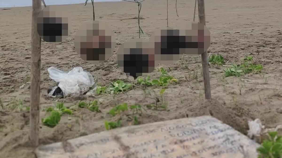 Eight severed human heads are found near a sign saying 'no stealing'