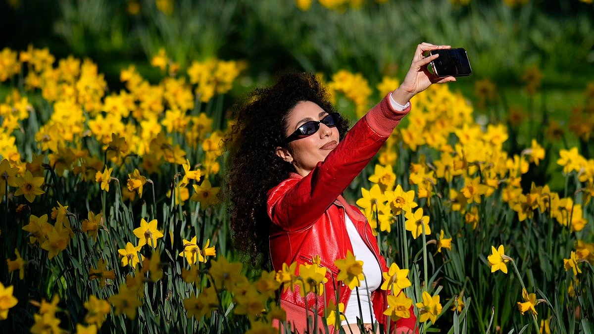 Spring at last! Britain set for the warmest day of the year so far with temperatures to hit a balmy 19C