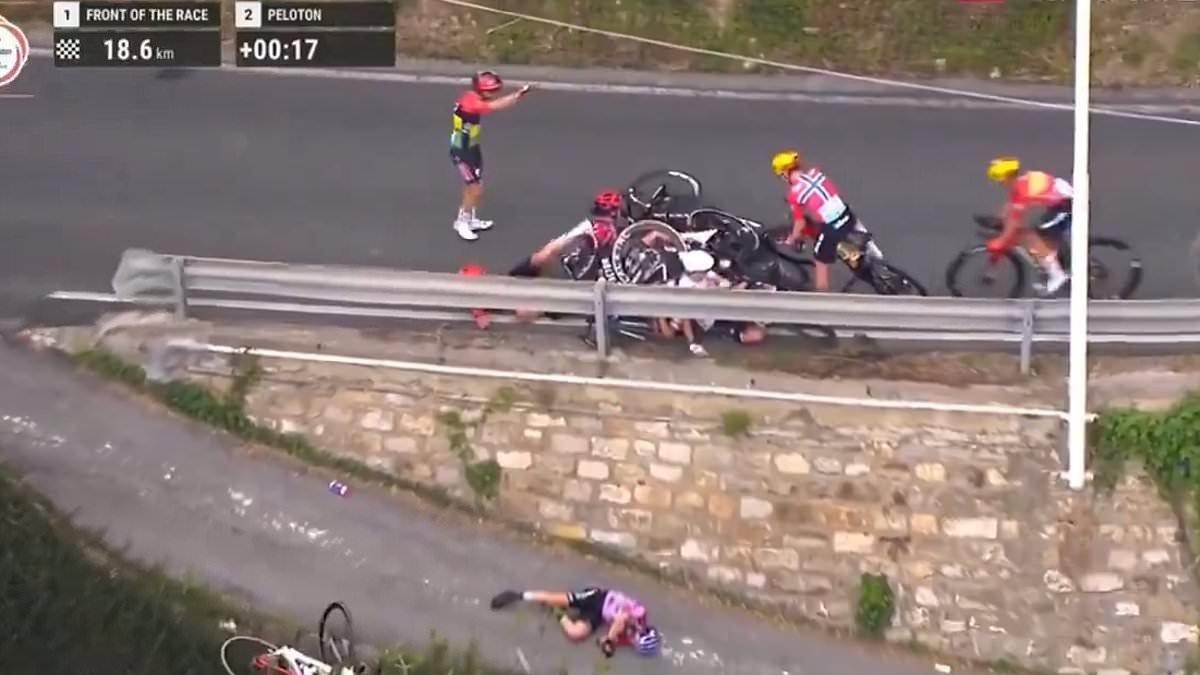 Health update released on female cyclist who was rushed to hospital with five broken ribs after falling headfirst over a roadside barrier in brutal pile-up crash