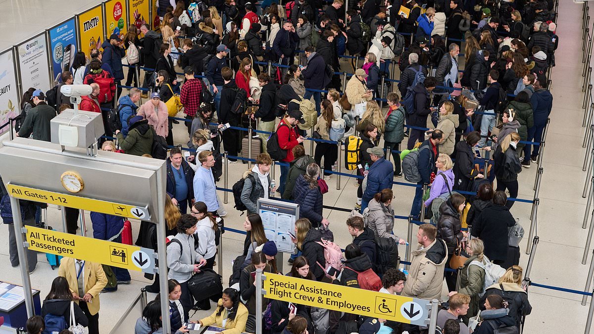 Inside the airport meltdown as TSA agents left broke plead for cash while ICE floods terminals: 'Paychecks stop but life doesn't'