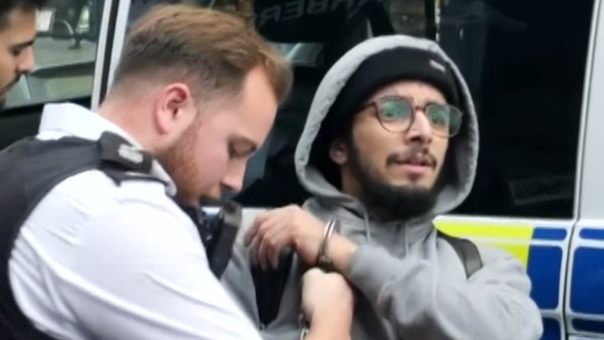 Algerian migrant sex offender accidentally freed from prison gets 26 weeks for punching and biting police officers