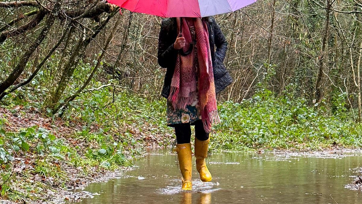 Things can only get wetter! We've already suffered weeks of downpours... but experts say there are 14 more days of rain to come