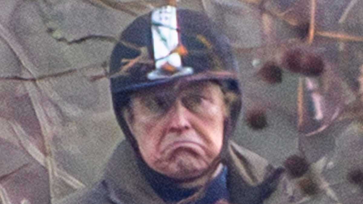 MPs 'could open investigation into Andrew Mountbatten-Windsor's work as trade envoy next week' as calls grow for criminal probe into claims he 'abused his position'