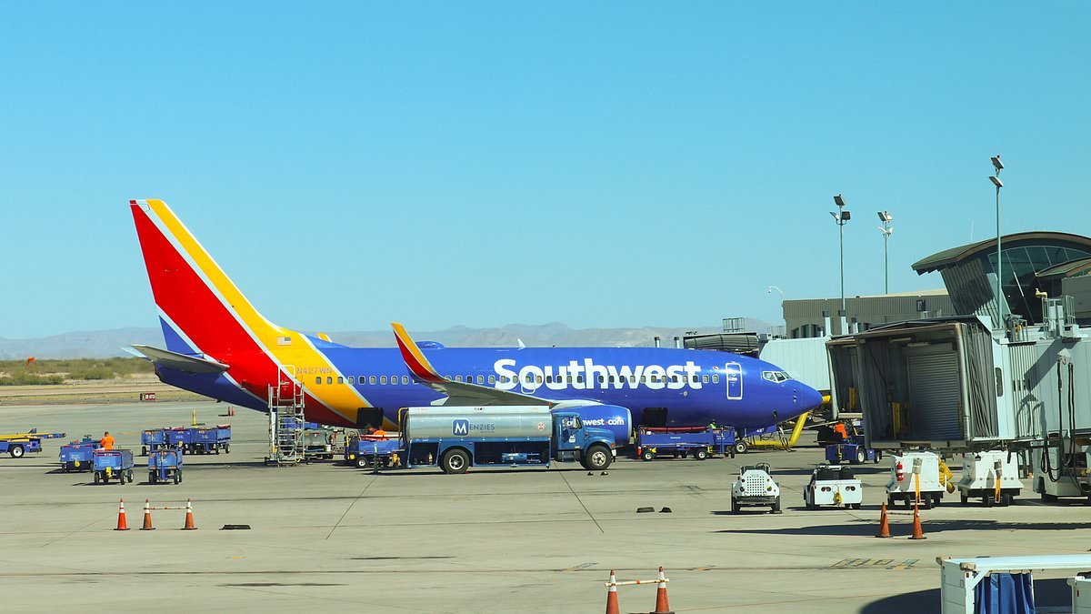 US airport grounds all flights for 10 days over security fears