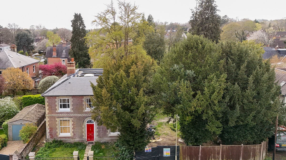 Property developer's plans to cut down two protected yew trees at his £1.4million home sparks fury from neighbours