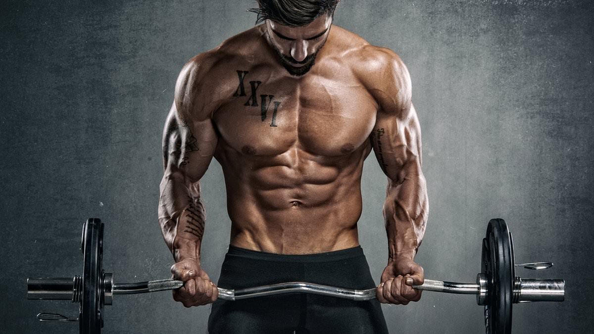 The £150 drug that promises a shortcut to the 'perfect body'... but at a terrifying cost: Inside rise of new fitness 'super supplement' and how it can trigger psychosis and leave young men with permanently 'shrunken testicles'