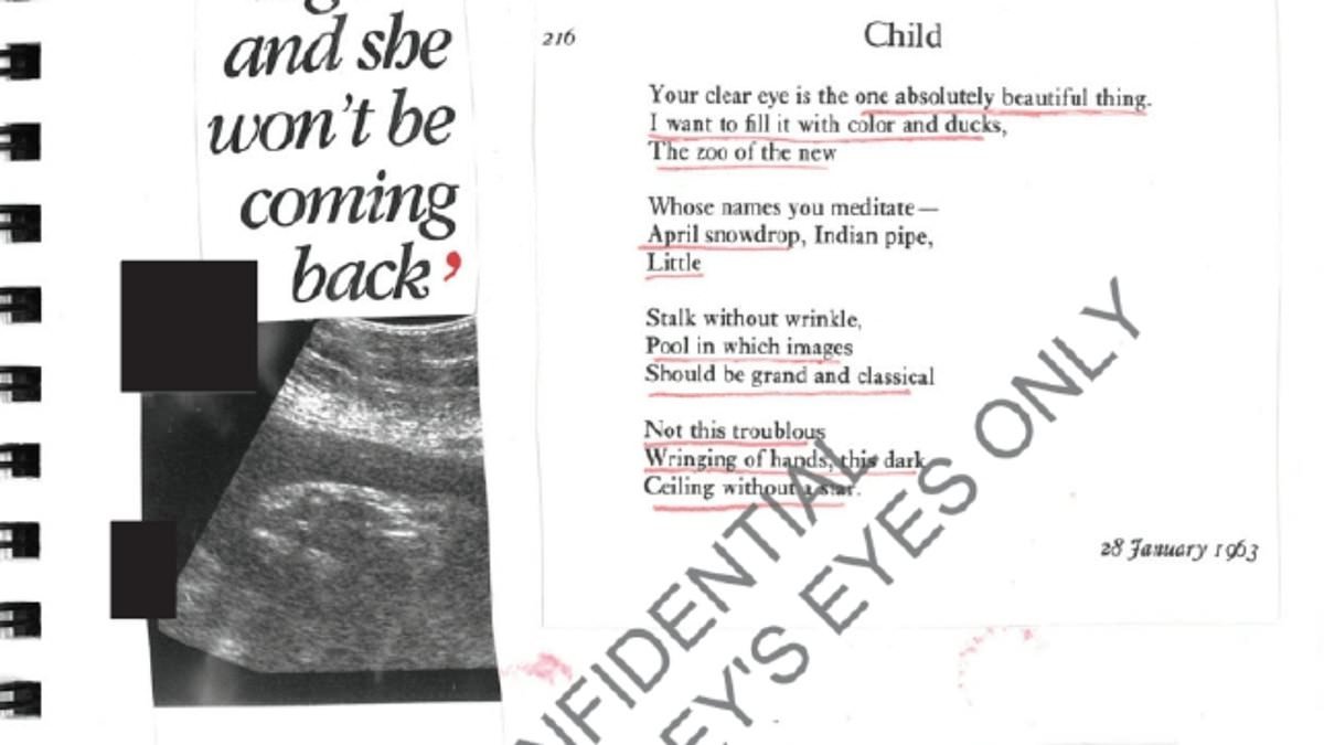 Jeffrey Epstein victim 'had baby fathered by the paedophile snatched away ten minutes after birth': Billionaire 'had multiple secret children and hoped to create "superior" gene pool'