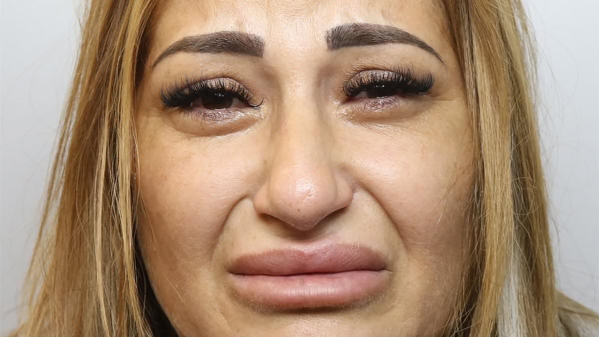 Return of the female Rolex ripper gang? Fears mystery distraction thieves who steal watches off men's wrists may be back on the prowl after pensioner robbed in broad daylight