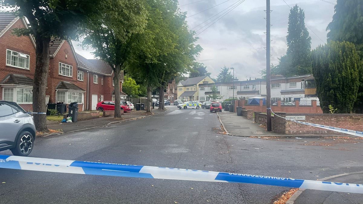 DPD worker pleaded 'don't kill me' before robber repeatedly stabbed him for not handing over his bag, court hears