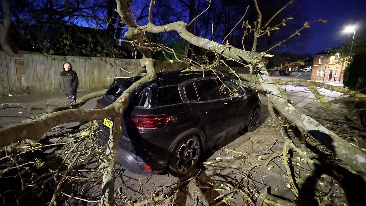 Heavy snow, gale force winds and widespread power cuts predicted as Storm Dave 'deepens' over Easter weekend - as amber weather warning comes into force
