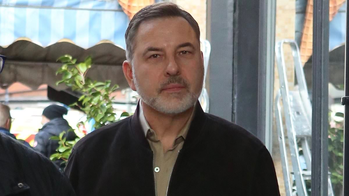 Downcast David Walliams arrives at his theatre show in first public appearance since being dropped by publisher and children's charity over claims he harassed young women