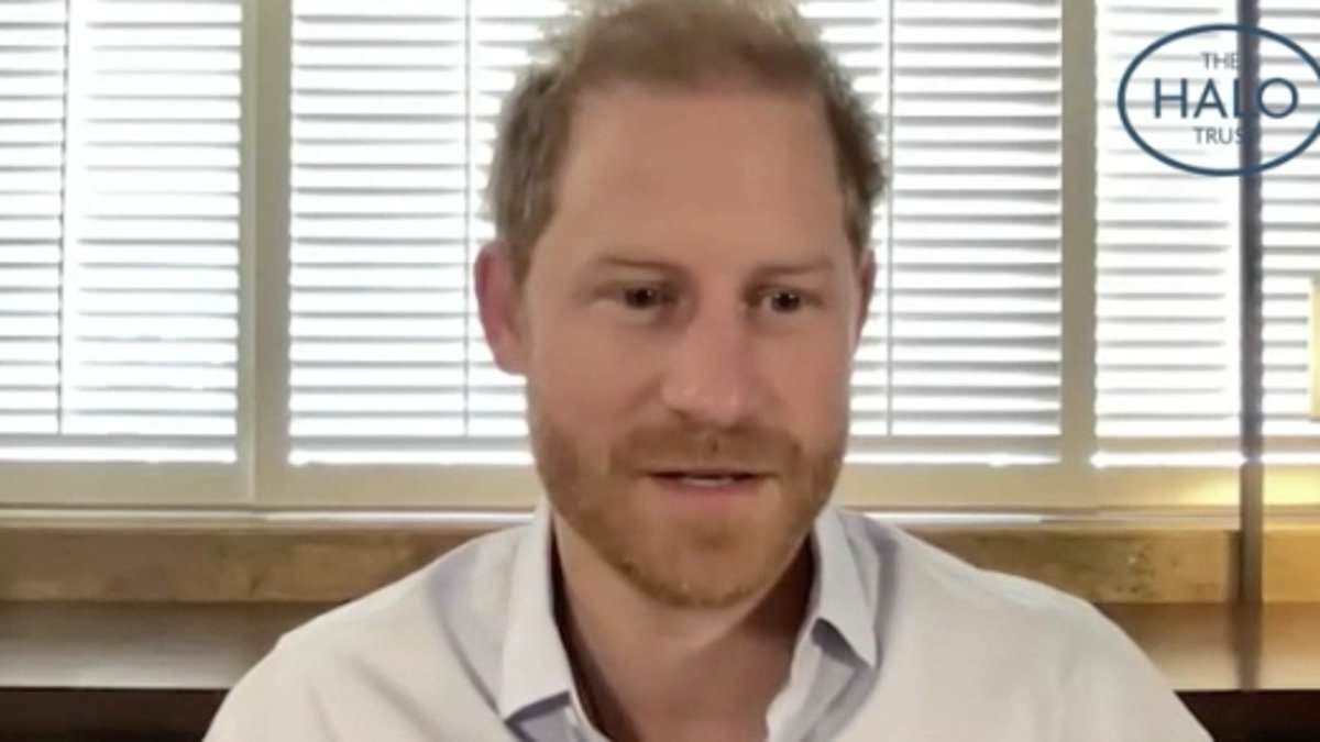 Prince Harry thanks brave HALO workers clearing explosives in Ukraine in heartfelt video call - as they admit life has become a 'nightmare' amid heavy shelling