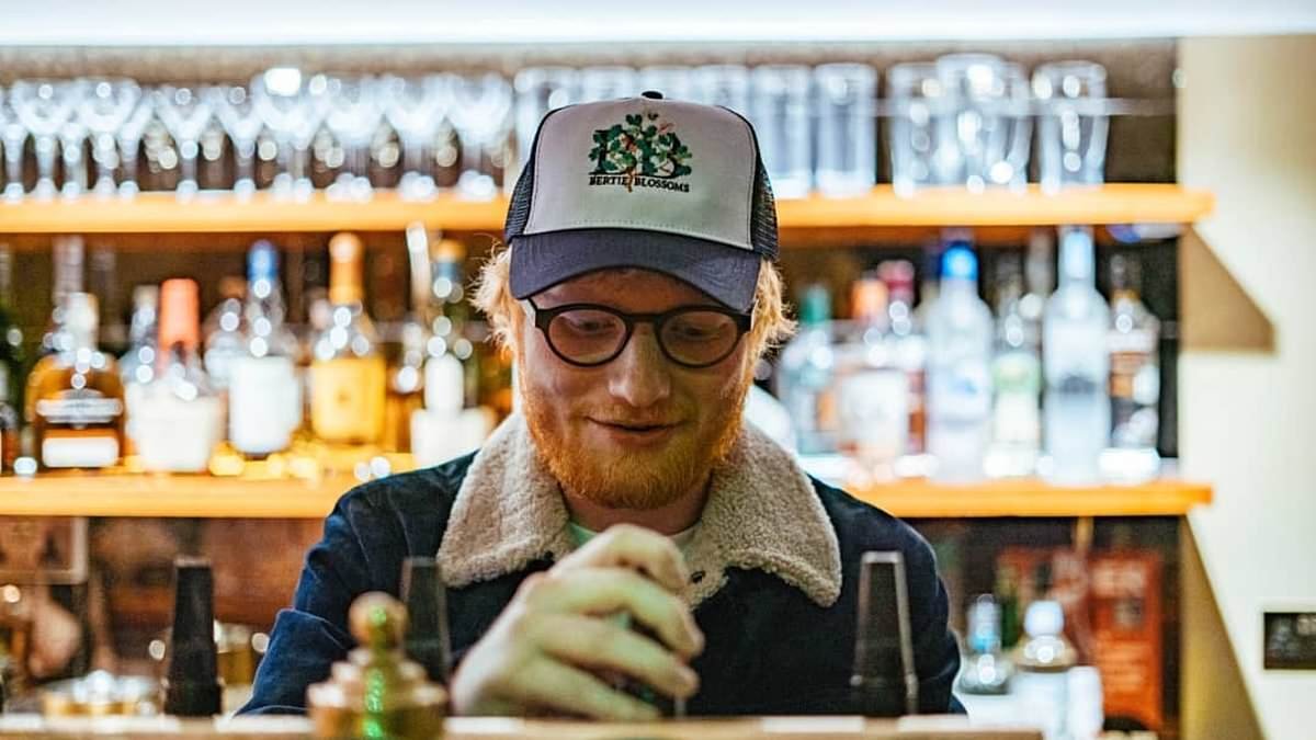 Ed Sheeran's bar and diner Bertie Blossoms falls victim to Britain's pub crisis as its debt rises to nearly £1.3million after struggling during Covid