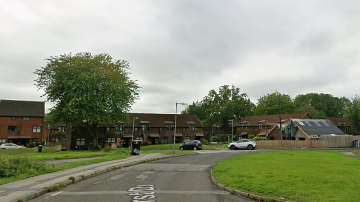 Tragedy after four-year-old boy dies suddenly as police and paramedics rush to the scene