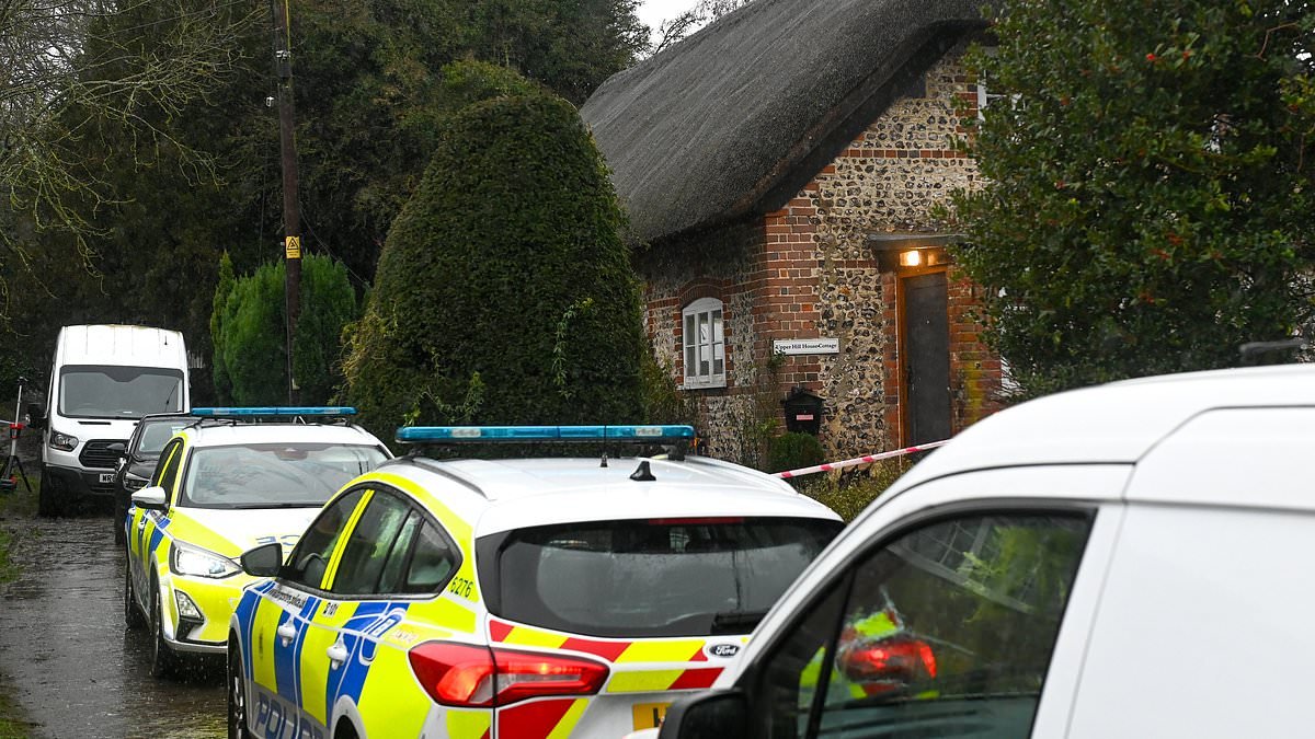 Woman, 68, is stabbed to death in pretty Hampshire village as wounded man, 39, is taken to hospital and police launch murder investigation