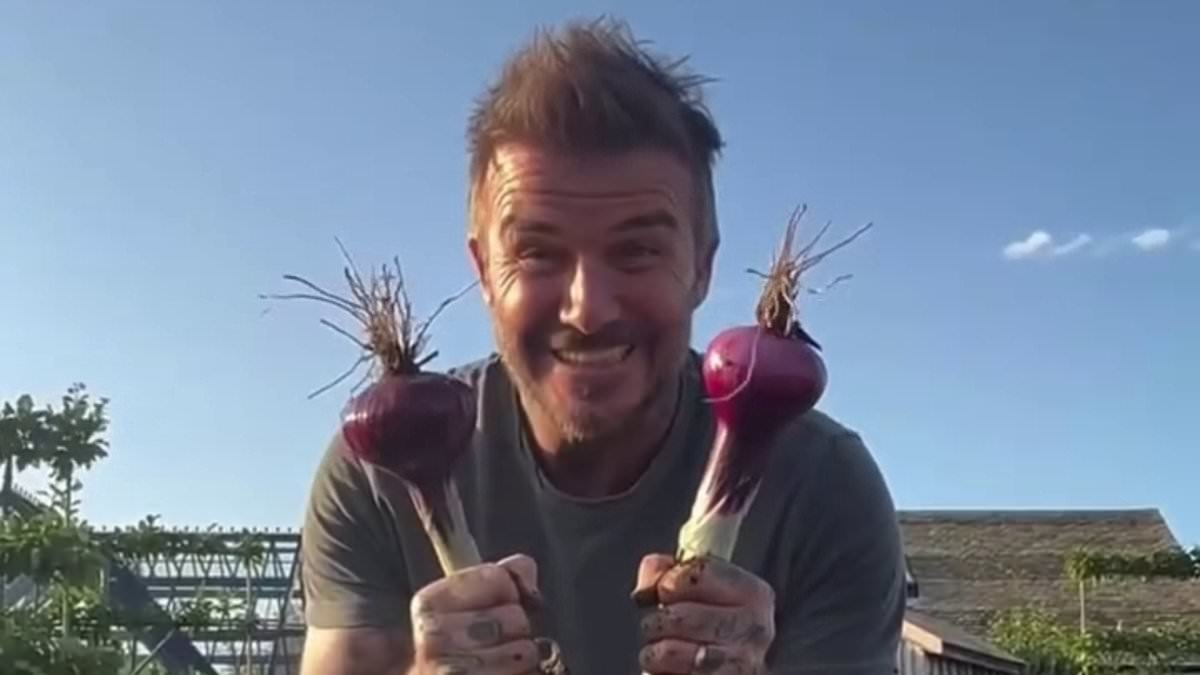 David Beckham set to make his Chelsea debut... no, he's not coming out of retirement - but unveiling his own garden at the famous Flower Show