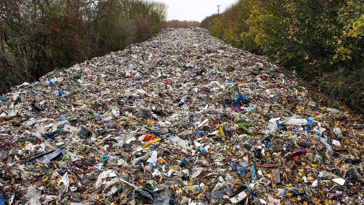 Labour told to get tough on criminal gangs dumping waste as fly-tipping in England soars by 10% in a YEAR
