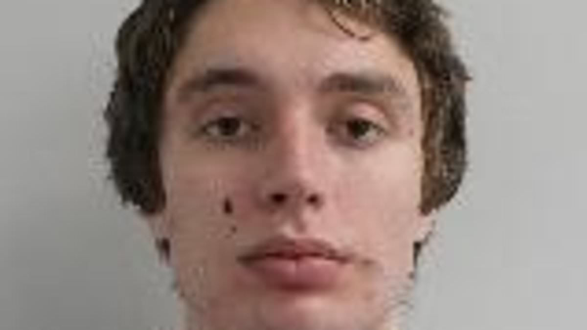 Revealed: Truth behind Barron Trump's dramatic Facetime phone call with 'girlfriend' and the British public school-educated MMA fighter who beat her up