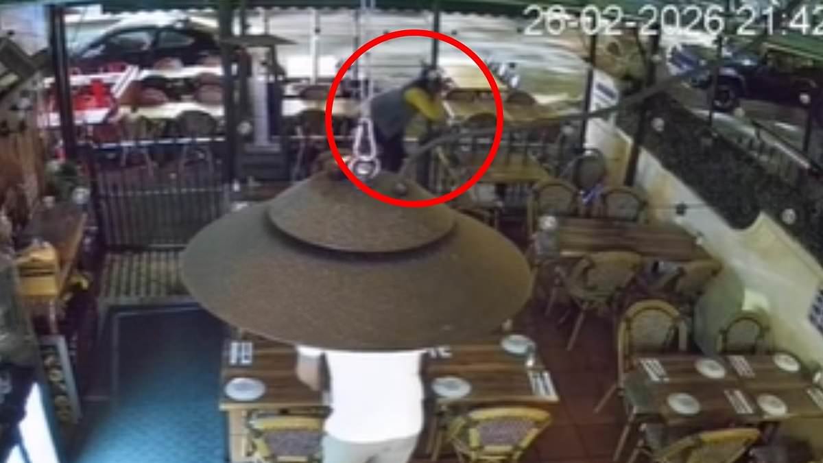 'Instant karma': Restaurant owner shares the unbelievable moment man impales himself on a fence just seconds after her daughter's phone was stolen off the front counter