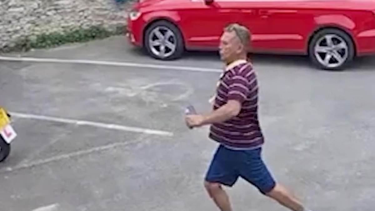 Moment heavily intoxicated driver stumbles out of pub garden before crashing his van - injuring two people