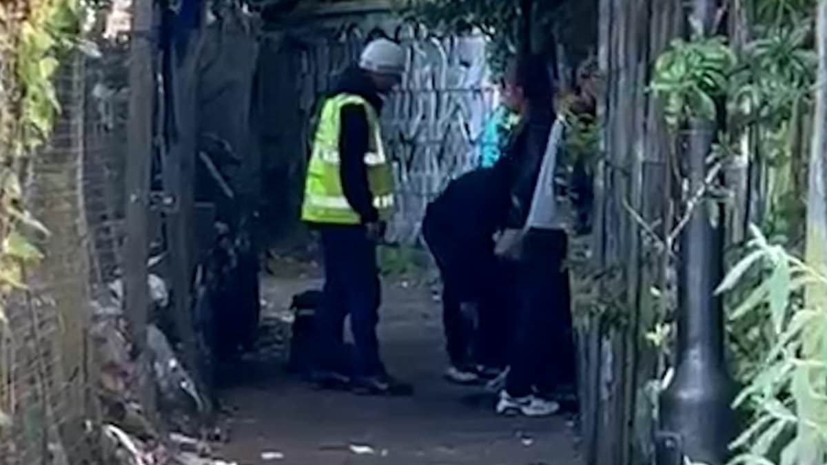 Alleyway in affluent Hampstead is taken over by drug addicts, prostitution and gang violence - with terrified residents forced to arm themselves with hammers to keep safe