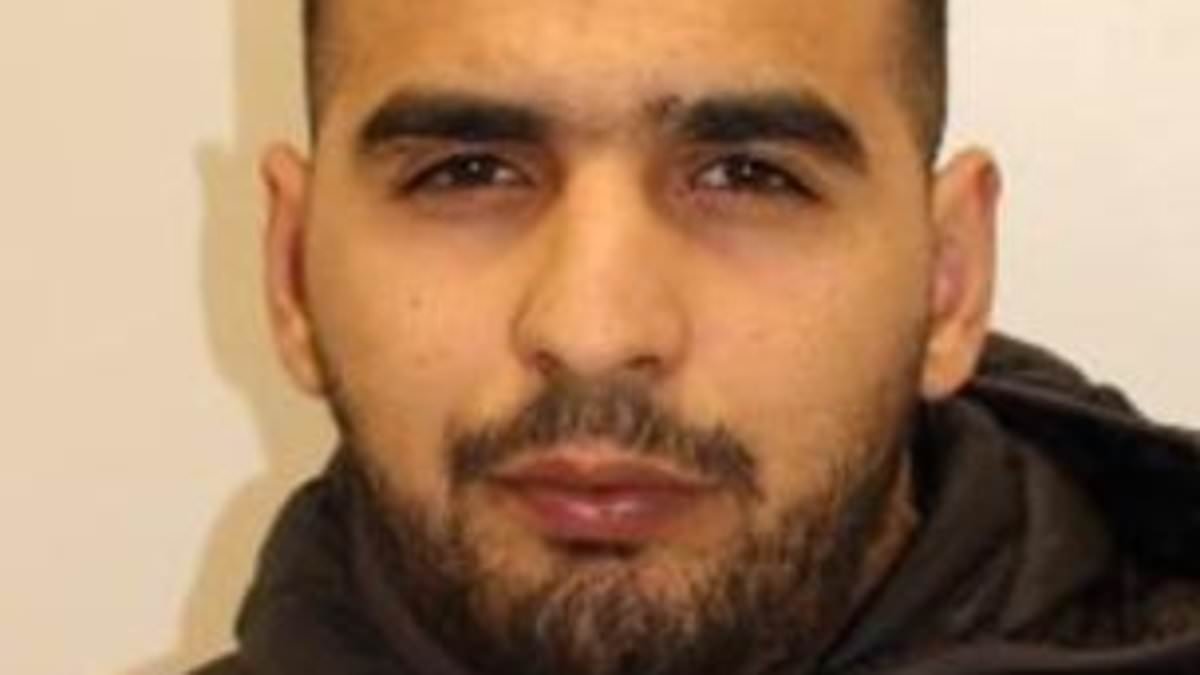 Algerian small boat migrants jailed after tearing £65,000 designer watch from driver's wrist as he took picture of Bentley in London's Mayfair alongside his pregnant wife