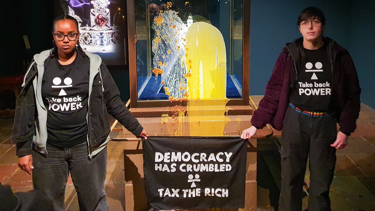 Exposed: Activists behind Ritz and Crown Jewels stunts plot to paralyse London and hold week-long shoplifting raids