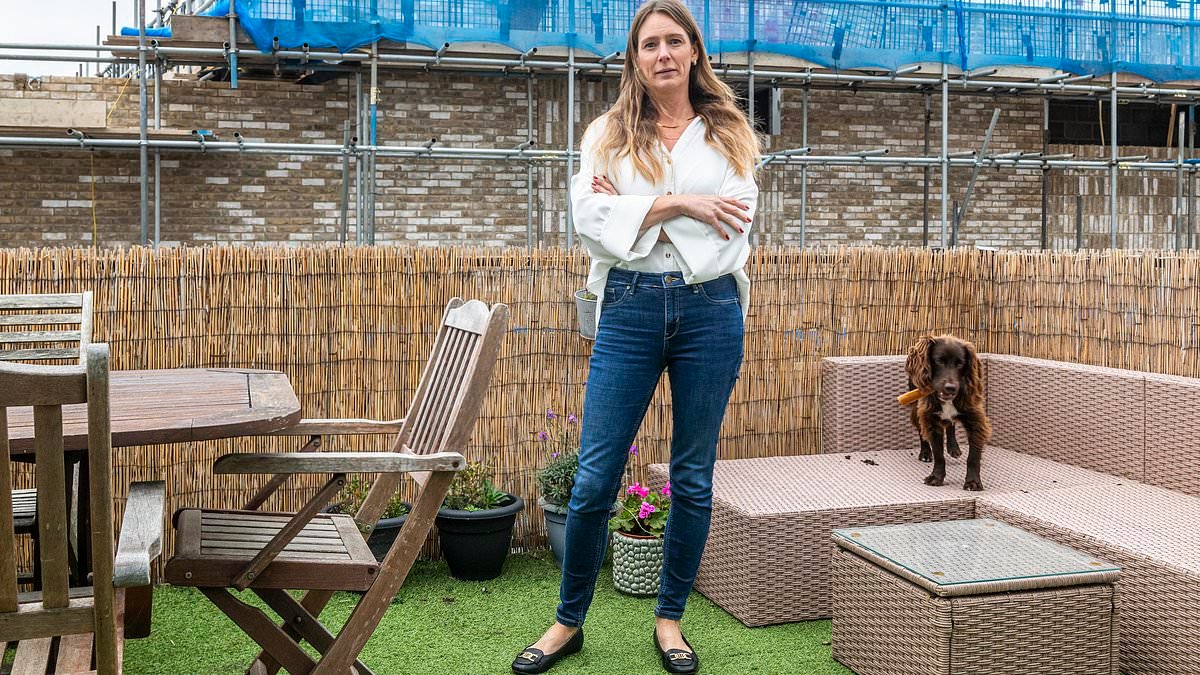 Mother's despair as council sides with developers who built illegal concrete wall in front of her seaside flat that blocked her view and knocked £50K off its value