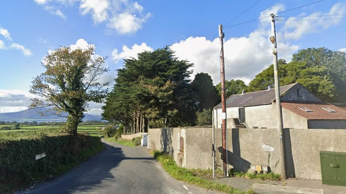 Boy, 11, is killed after being hit by a car during school rush hour
