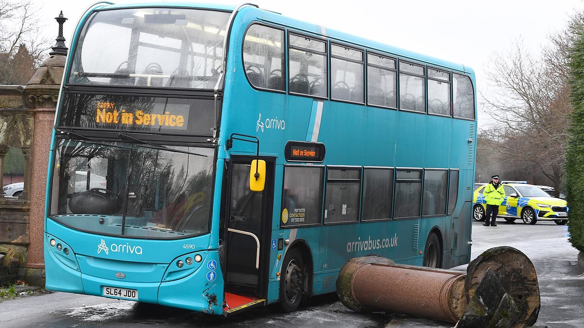 Moment passer-by falls into frozen lake trying to rescue man who plunged into icy water attempting to save dog - as Storm Goretti is expected to bring more snow, rain and gales