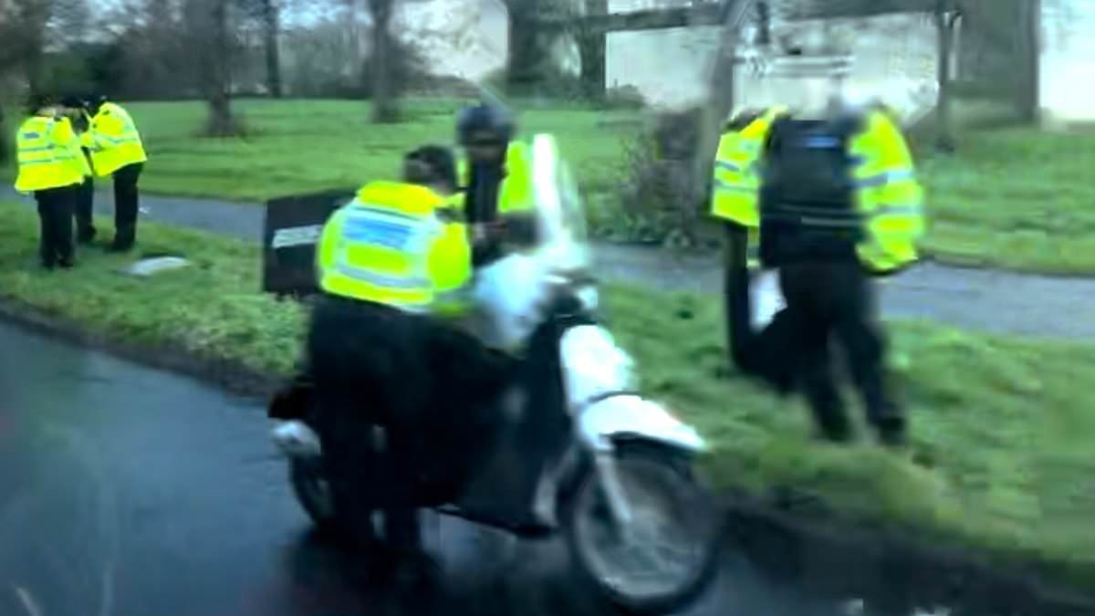 Illegal delivery driver crackdown as two immigrants arrested and 19 vehicles seized by Met Police and Home Office officials in leafy London suburb
