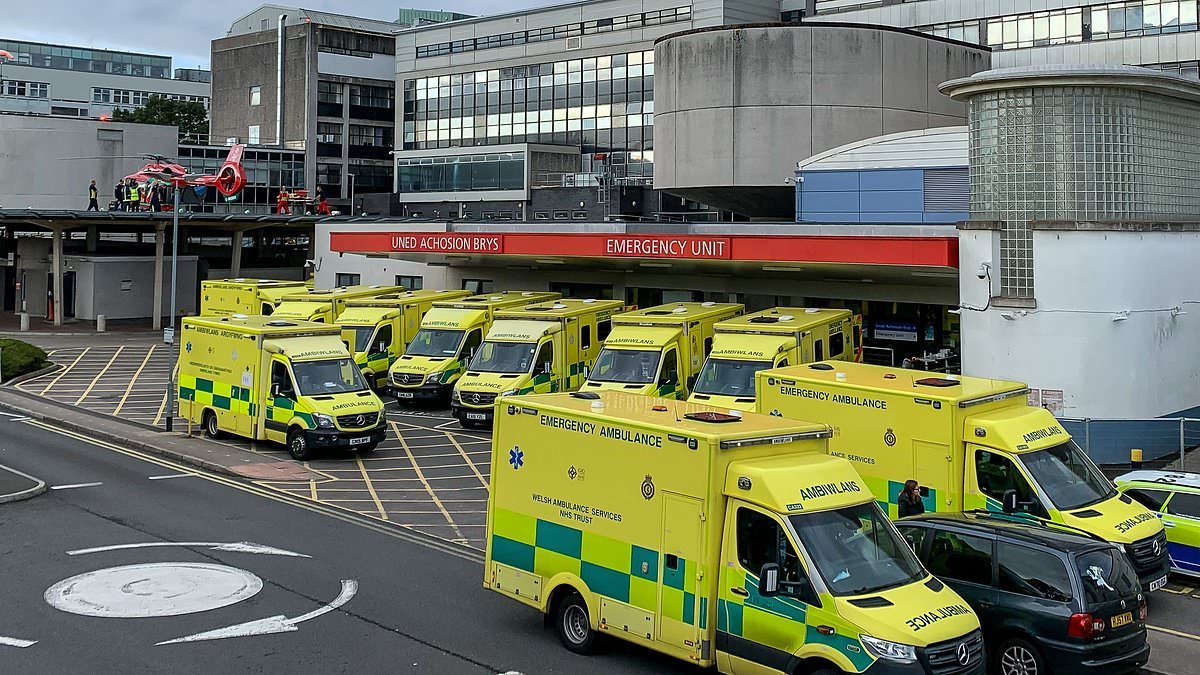 'Poisoned' Lucozade, scandalous sexual affairs, warring cliques and anaesthetic nurses watching Netflix instead of patients: GUY ADAMS lays bare the shocking scandal inside Britain's worst hospital - with drug use and fights rife