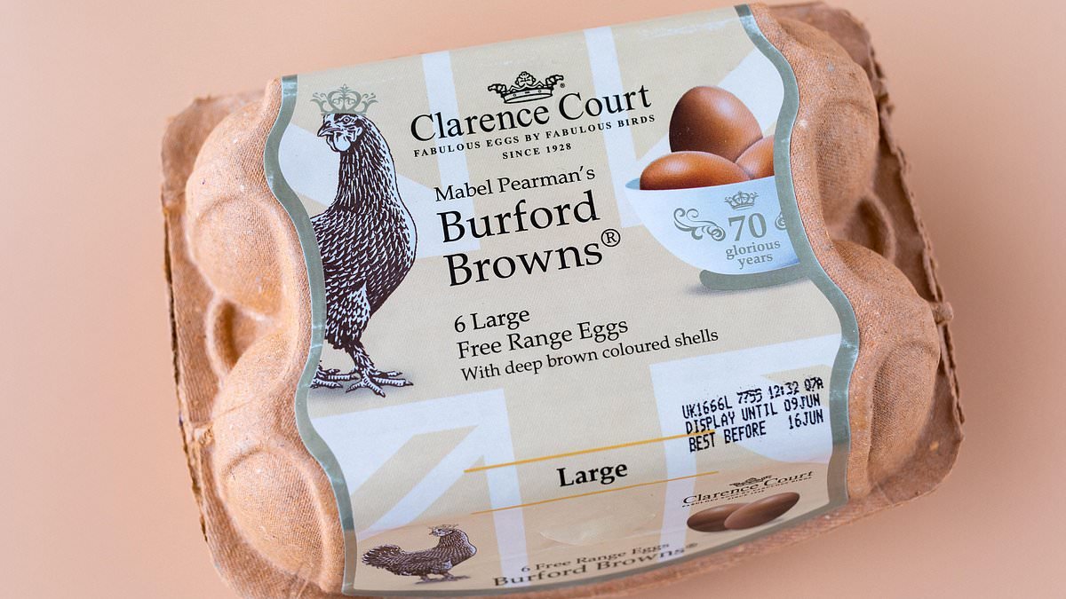 Dark reality behind Burford Brown eggs: They're the middle-class status symbol. Now SARAH RAINEY reveals truth behind golden yolks, if they're really any better... and the 'debeaking'