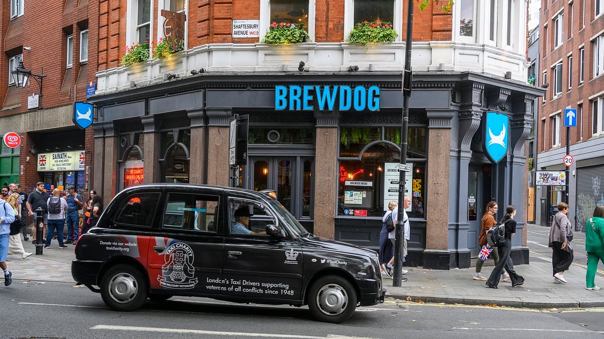 Brewdog Equity for Punk investors left reeling as brewery eyes sale which could see 220,000 beer enthusiasts lose £75m