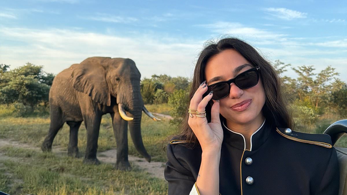 Dua Lipa cosies up to her fiancé Callum Turner on safari in South Africa as couple pose for snaps with elephants and zebras
