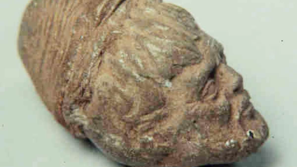 Roman artifact discovered in the Americas shatters New World history as we know it