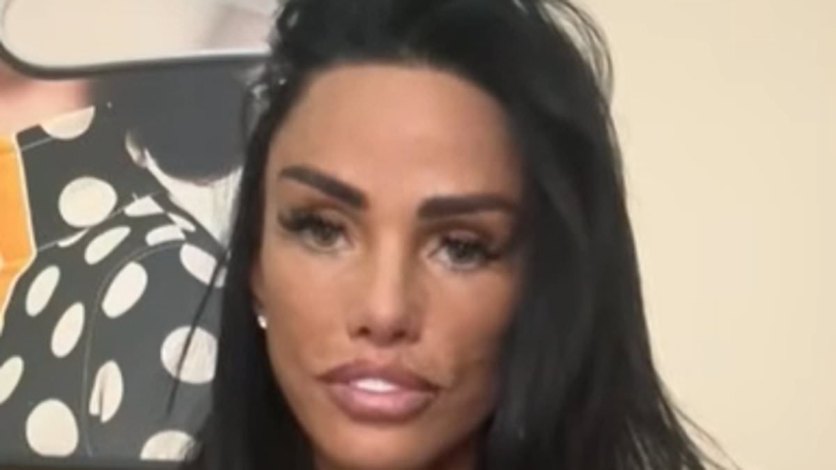 Katie Price is banned from driving for SEVENTH time over 80mph speeding ticket