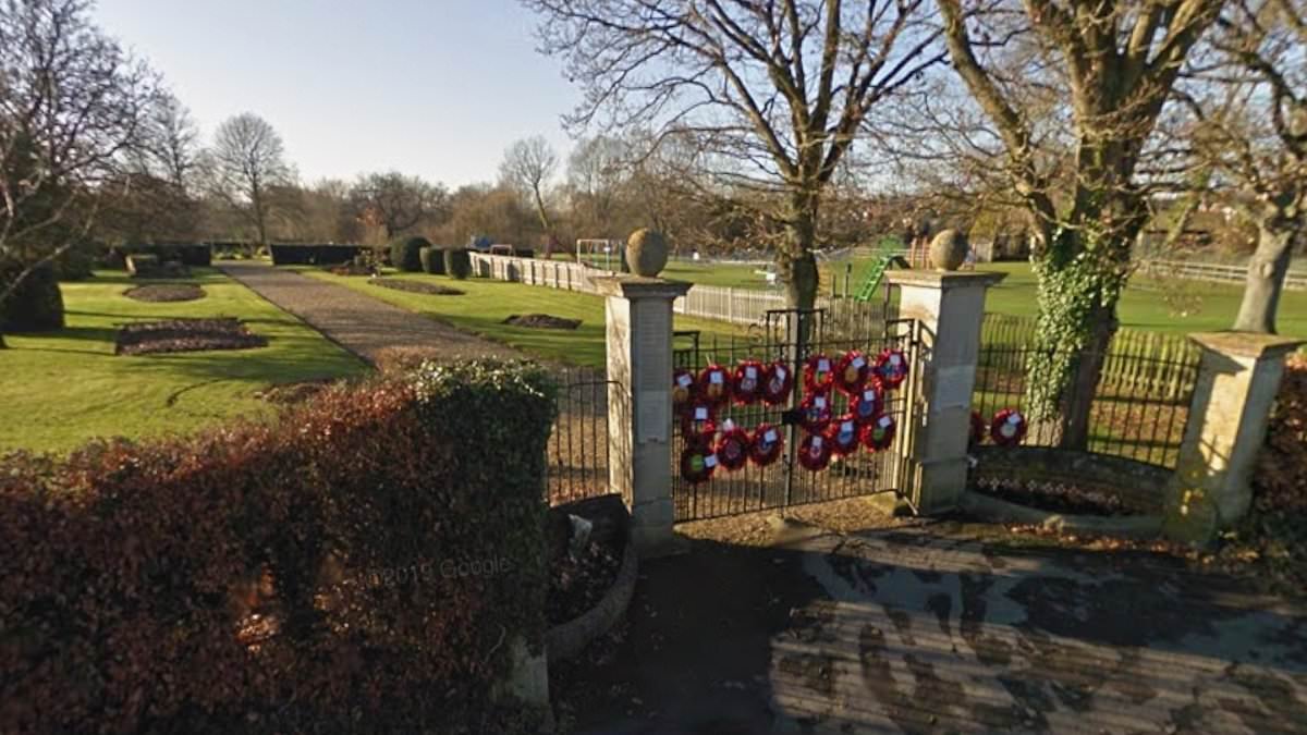 Teenage boys 'laughed' as they filmed themselves raping teenage girls on edge of national park, court told