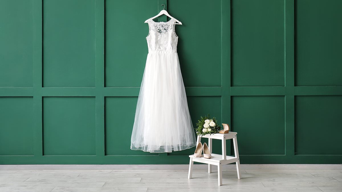 Bride books an entire seat for her wedding dress on Ryanair flight - would YOU do it?