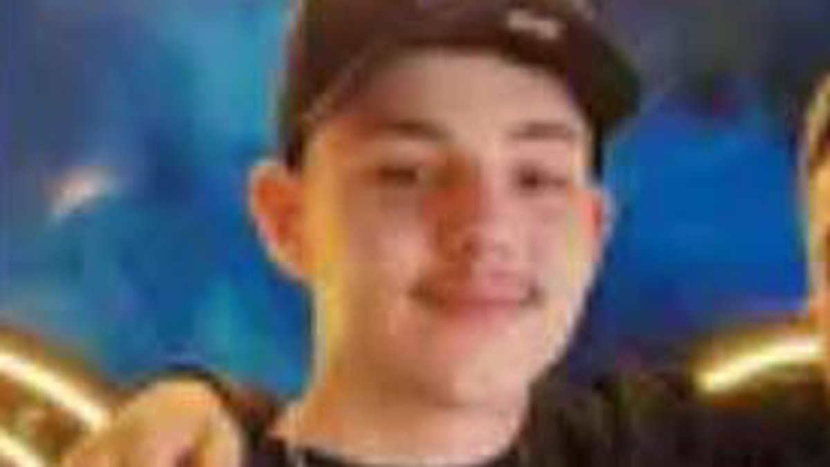 Father loses court fight with his ex-wife over whether to bury or cremate their teenage son, 17, who took his own life