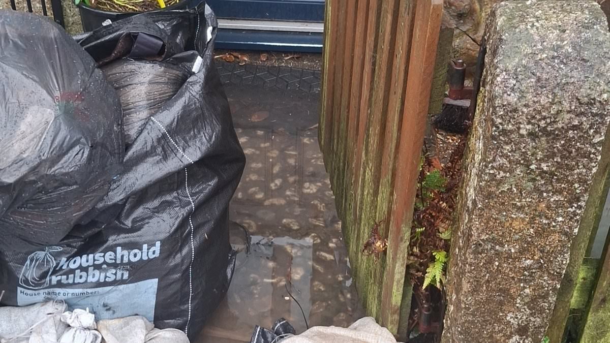 Furious residents 'refuse to pay their water bills' after sewage pours onto their streets 'every time it rains'