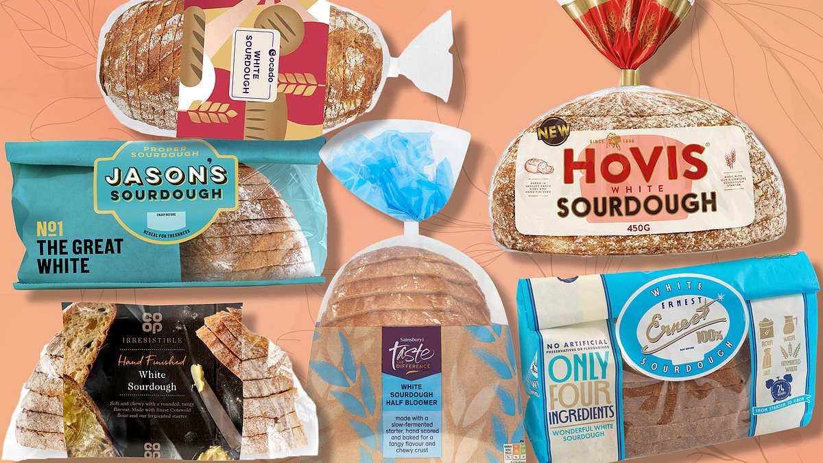 Is your sourdough FAKE? Supermarket brands are being bulked out with cheap oils and fillers - here's how to tell if your favourite is the real deal