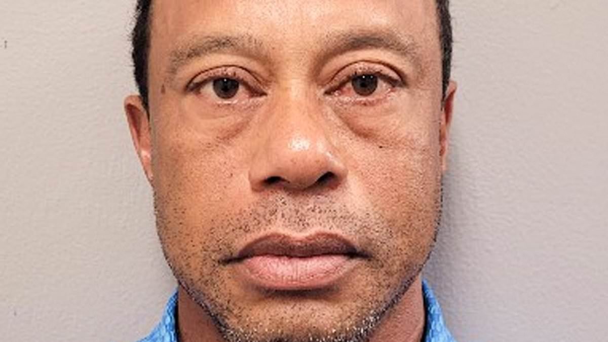 Tiger Woods is lucky he's never killed someone with his reckless driving... golf has indulged his shameful behaviour for far too long - the sport should be helping its fallen hero instead, writes OLIVER HOLT