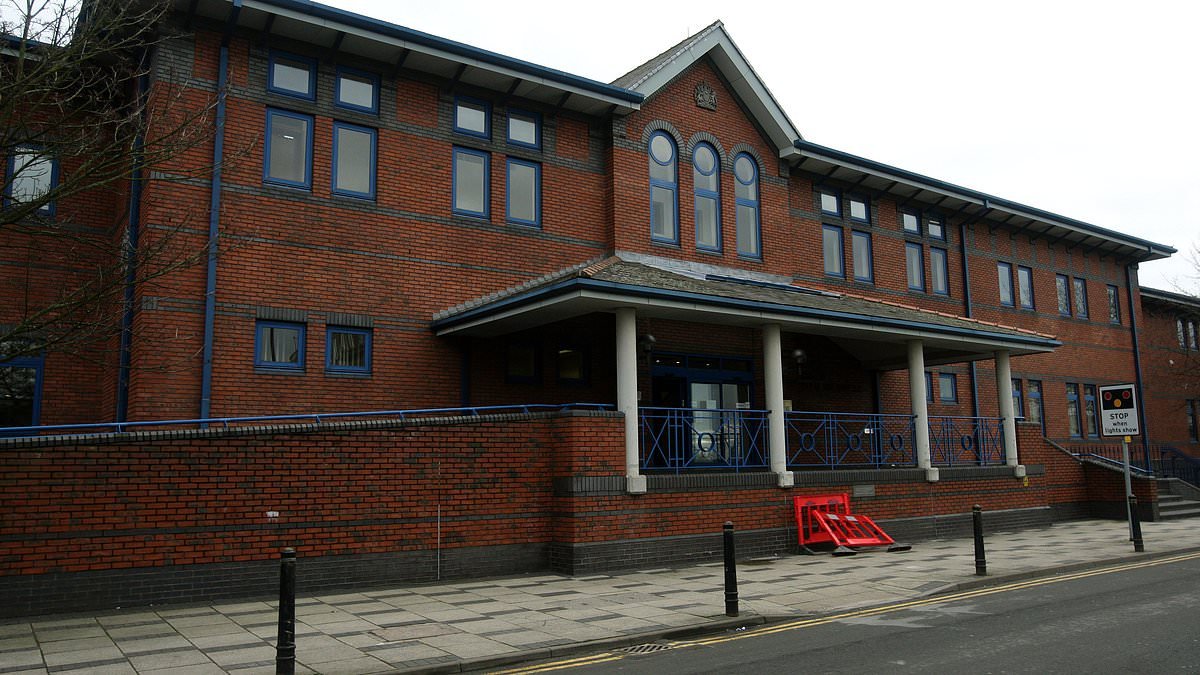 Man, 20, is facing jail for raping two primary school girls when he was 11 years old