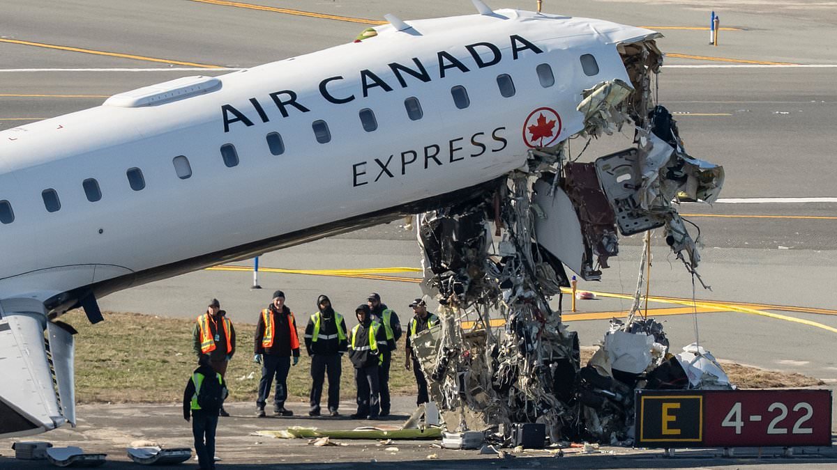 Audio reveals final three minutes inside cockpit of Air Canada flight as investigators hone in on overlapping errors that led to fatal collision