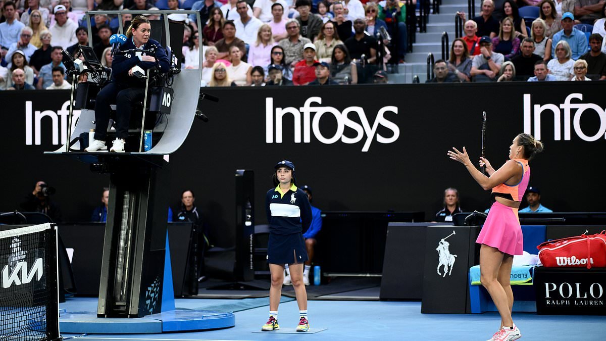 Aryna Sabalenka hits back at chair umpire who penalised her for GRUNTING during her Australian Open semi-final victory: 'She really p***ed me off'
